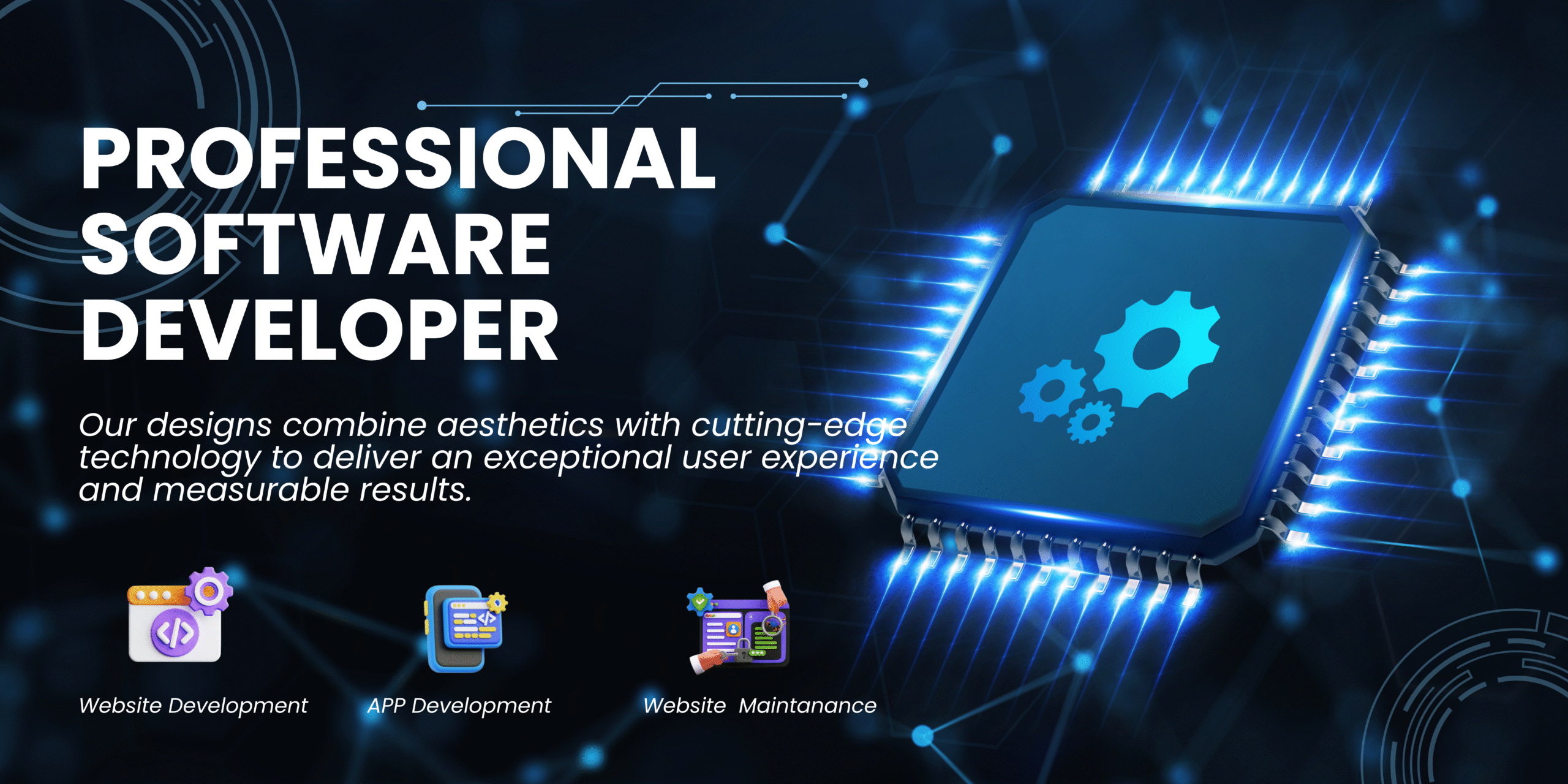 Proffesional Software Developer